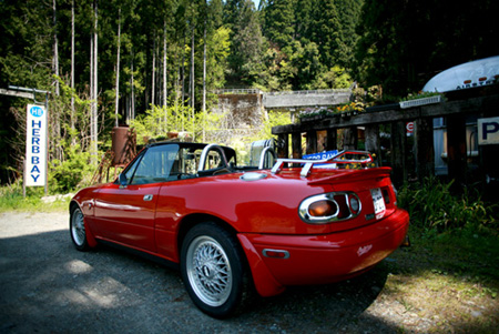 130429-04.jpg