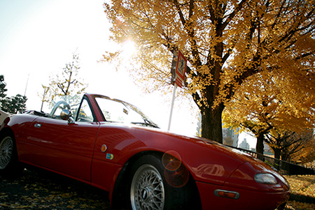 131205-01.jpg