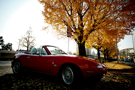 131205-03.jpg