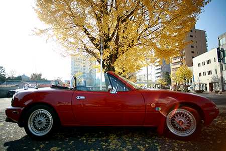 131205-04.jpg