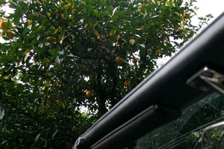 rs071201-06.jpg